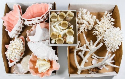 Ceramic Shell Bowls, Coral and Seashell Assortment: Ceramic Shell Bowls, Coral and Seashell Assortment Including ceramic shell shaped bowls, dried coral specimens, seashells and abalone napkin rings Length: 11.00 inches (coral) Category: Decorative Art