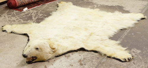 Polar Bear Rug Oct 16 2016 Leonard Auction Inc In Il