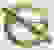 item-50435059=2