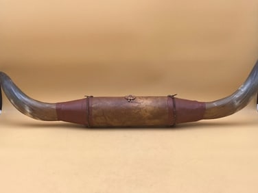 36" Bull Horn Display