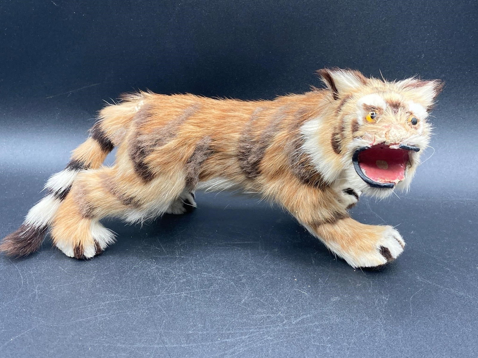 Vintage Taxidermy Tiger Figure: Vintage taxidermy tiger figure. Features glass eyes and genuine animal fur. Face has missing hair and teetH inches and tail is stiff and has patch of missing fur.Measurements: 5" W, 9" L, 5" H inches 