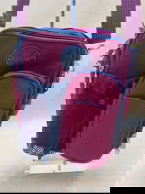 Ricardo Beverly Hills Carry On Bag