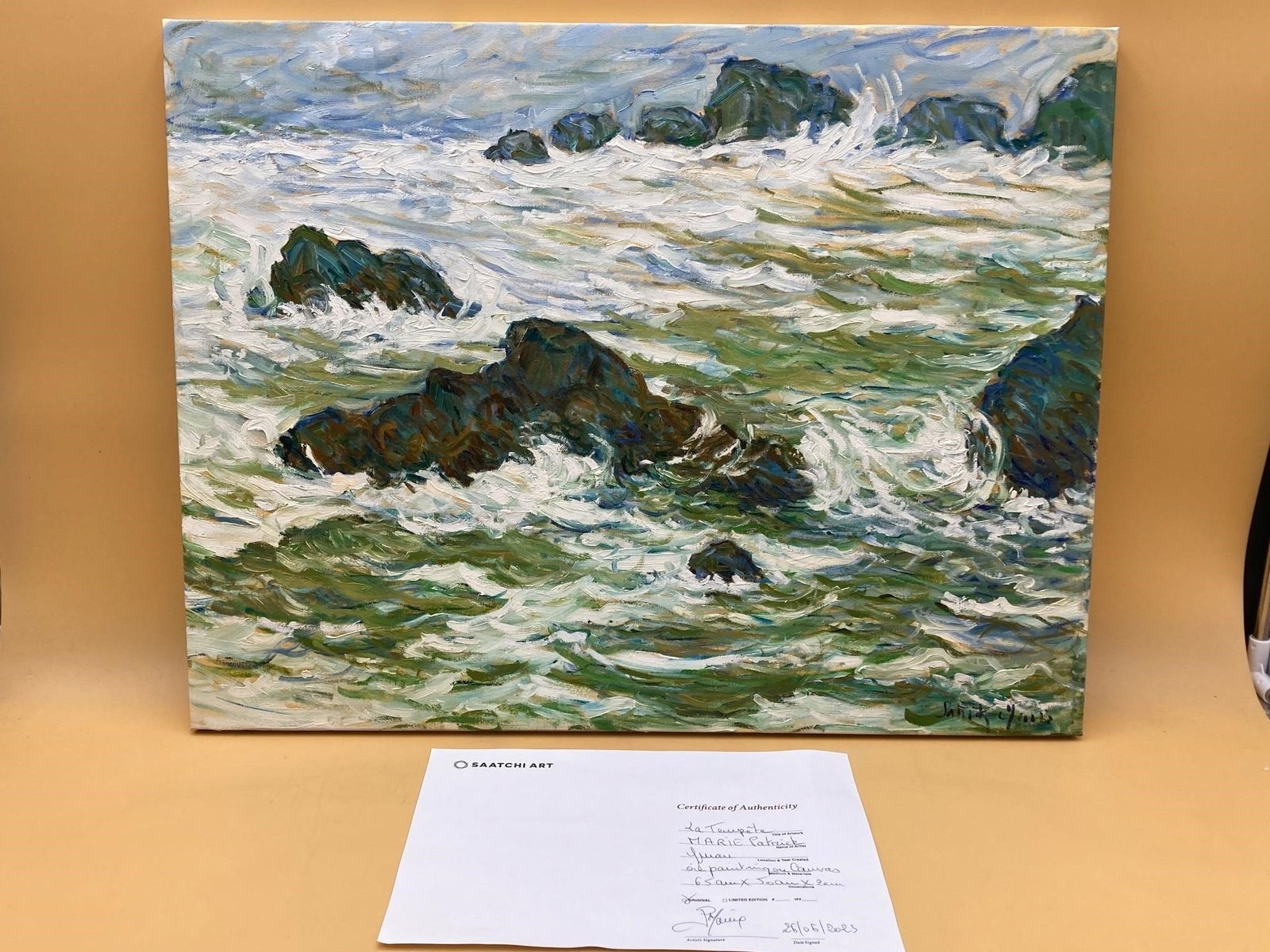 Original 20x26" Patrick Marie La Tempete Painting (1 of 9)