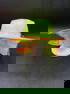 High Visibility Work Hat, Green