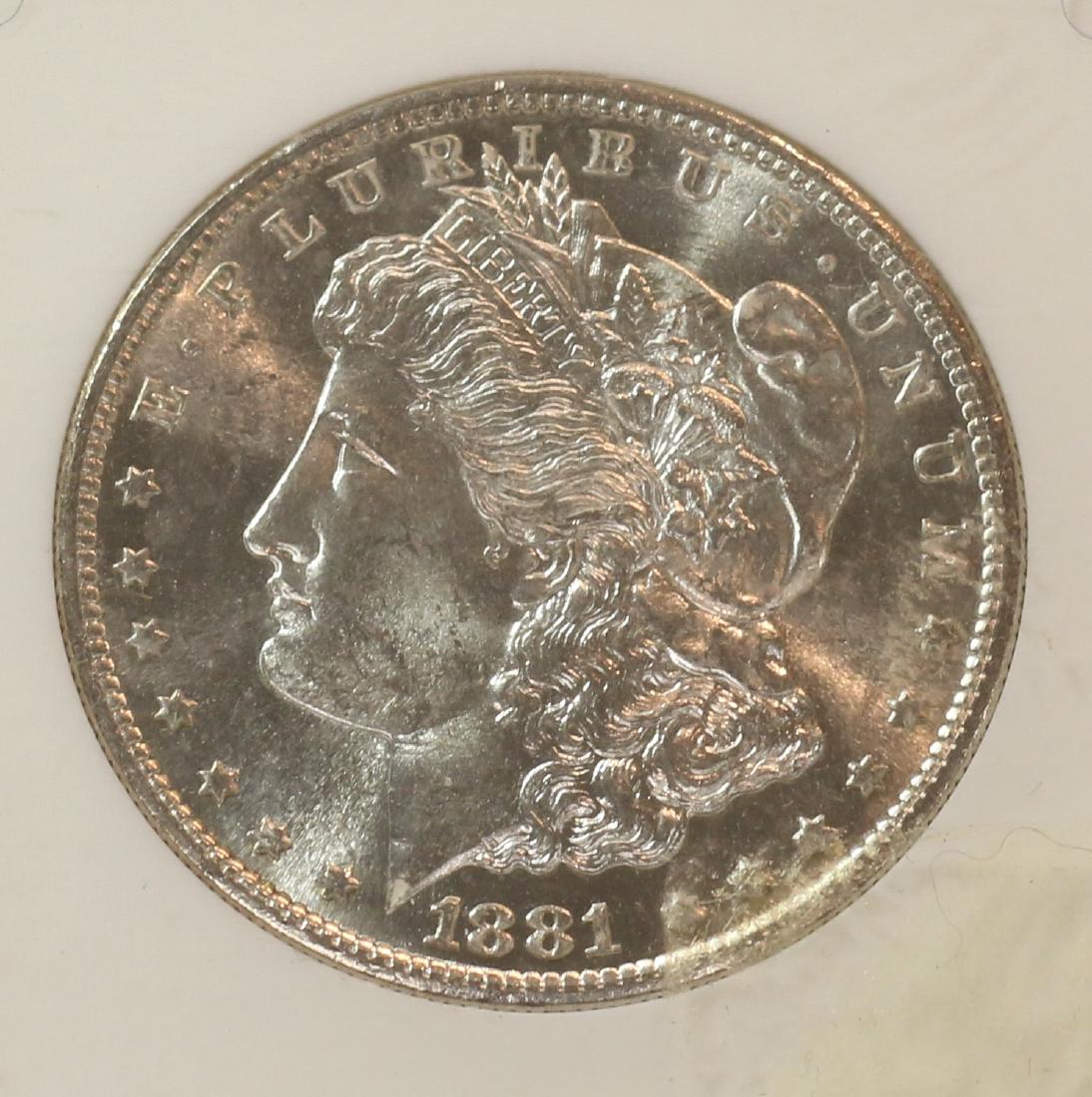 1881 S - MORGAN DOLLAR (1 of 3)