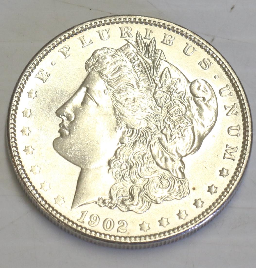 1902 MORGAN DOLLAR (1 of 2)