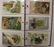 VINTAGE POSTCARD ALBUM - 3