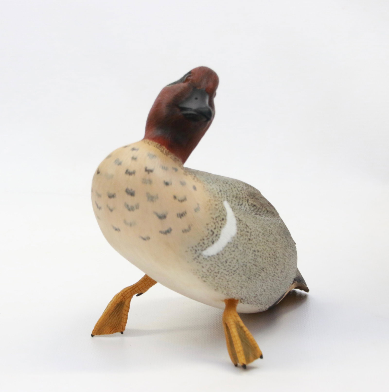 CARVED WOODEN DUCK IN DISPLAY CASE: HAND CARVED AND PAINTED. ATTRIBUTED TO R.J. WILSON (UNSIGNED) DUCK IS 7" LENGTH. CASE IS 14 1/2" X 9" X 9 1/2"