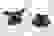 item-76183151=2
