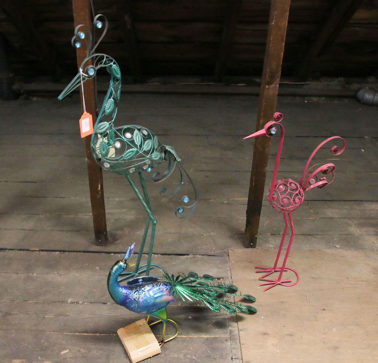 GARDEN BIRDS (1 of 1)