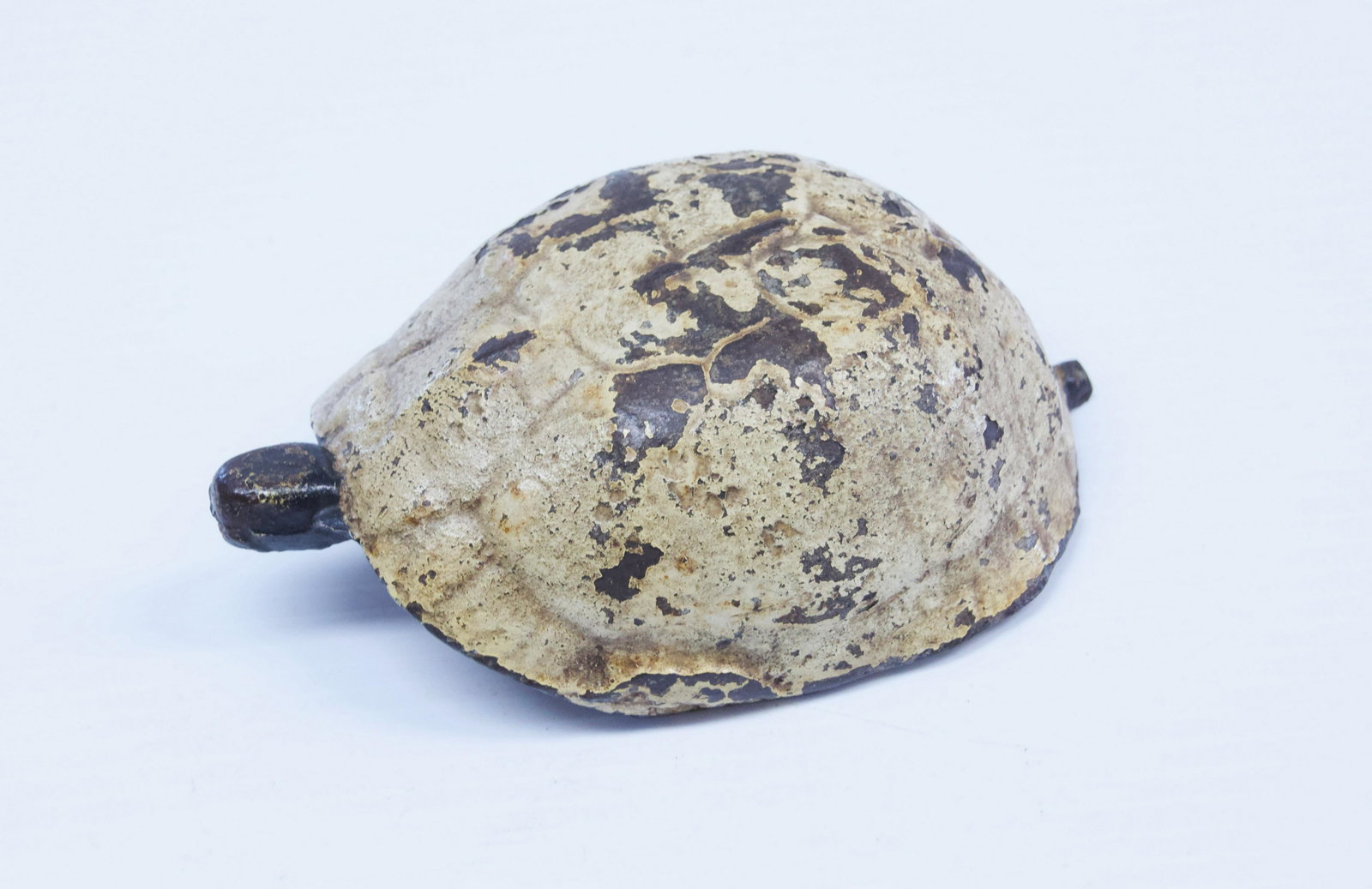EARLY TURTLE DOOR STOP: SIGNED "E.F.S." ORIGINAL PAINT Dimensions: 6" X 3 3/4"