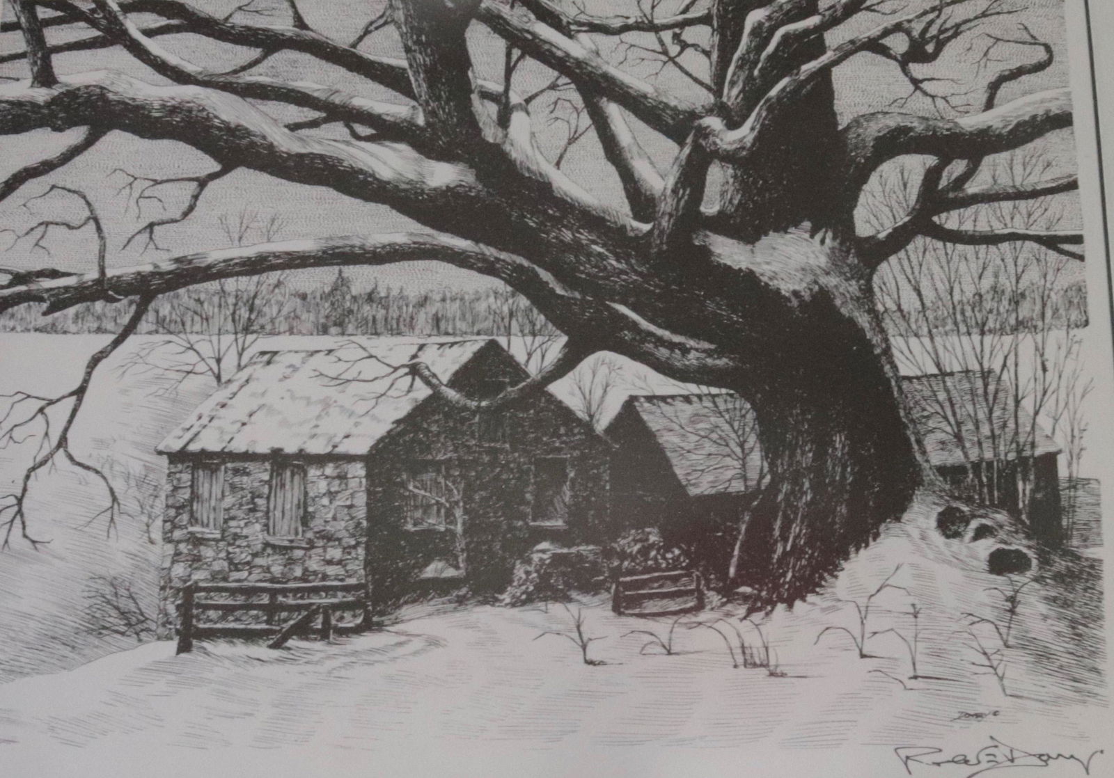 ROBERT DONEY PRINT (1 of 3)