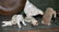 GROUP LOT OF COMPOSITION ANIMALS - 2