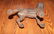 CAST IRON DOOR STOP - 2