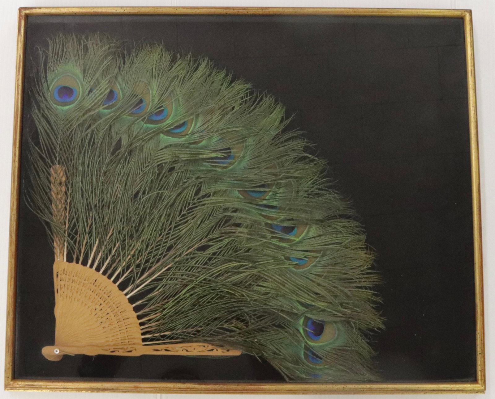 LATE 19TH EARLY 20TH CENTURY FOLDING FAN: PEACOCK FEATHER FOLDING FAN FRAMED IN SHADOW BOX 18" X 22"