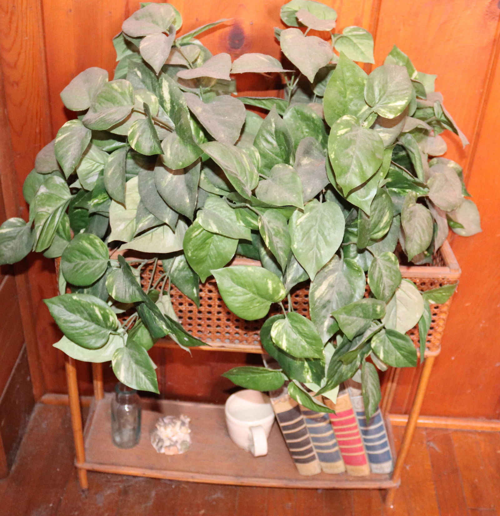 PLANTER AND CONTENTS (1 of 1)