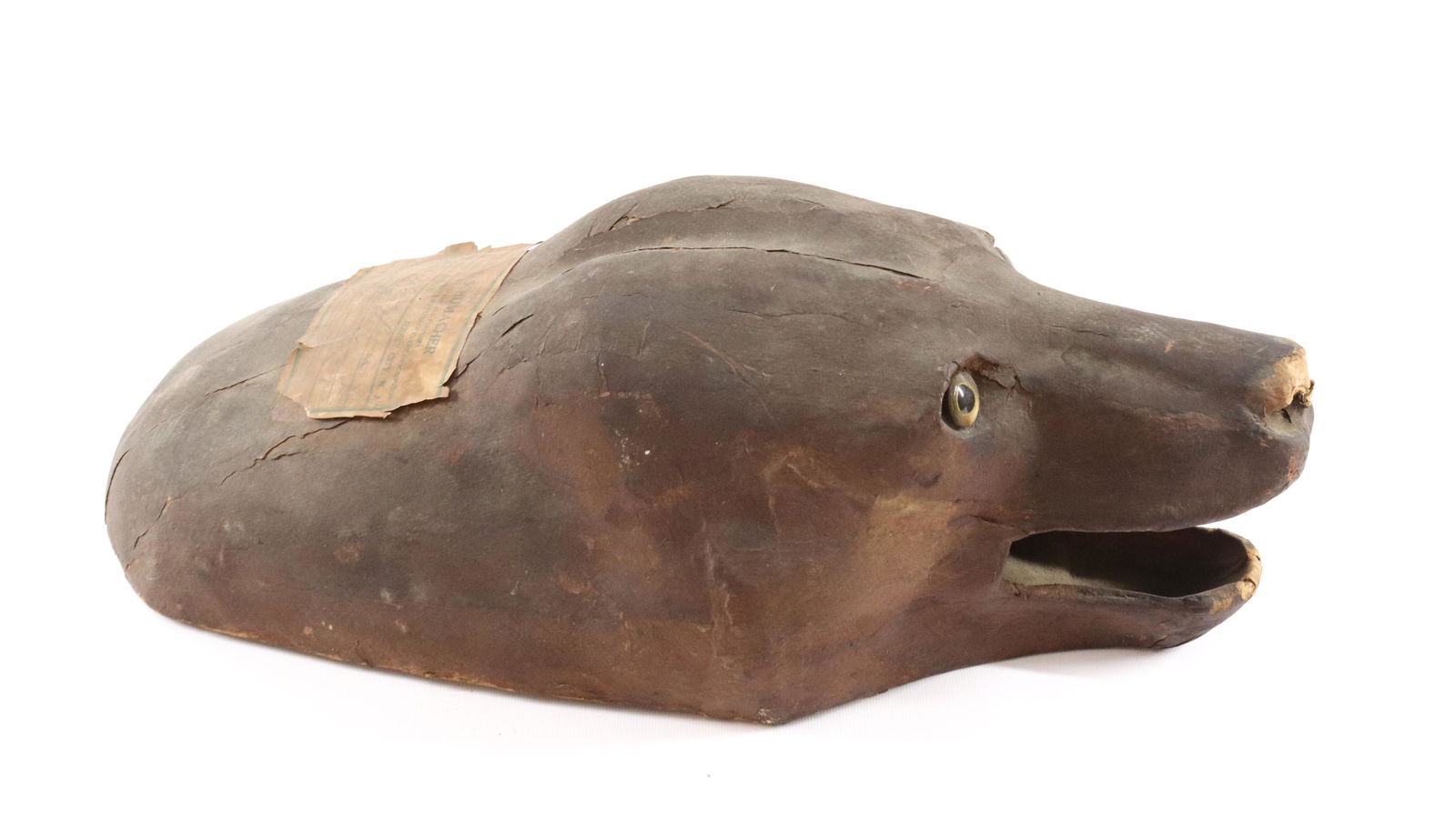 TAXIDERMY BEAR HEAD FORM (1 of 5)