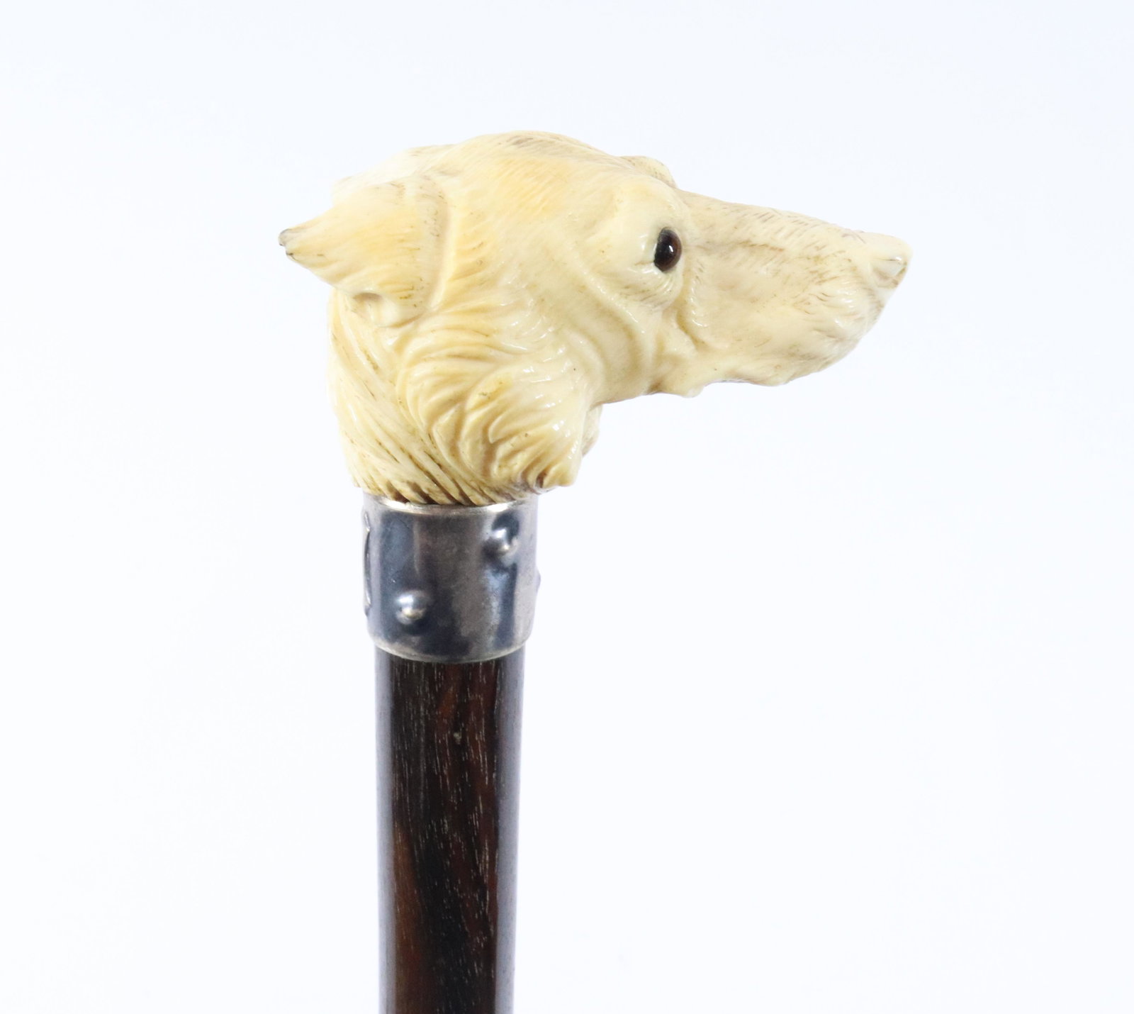19TH C. FRENCH CARVED BONE WOLF CANE: DETAILED WOLF WITH BROWN GLASS EYES. SILVER COLLAR AT TOP OF ROSEWOOD SHAFT. HORN FERRULE. FOUND IN FRANCE. DATES TO 1890S. FROM THE SEMONES COLLECTION SIZE: OVERALL LENGTH 36" PLEASE READ BEFORE BIDD