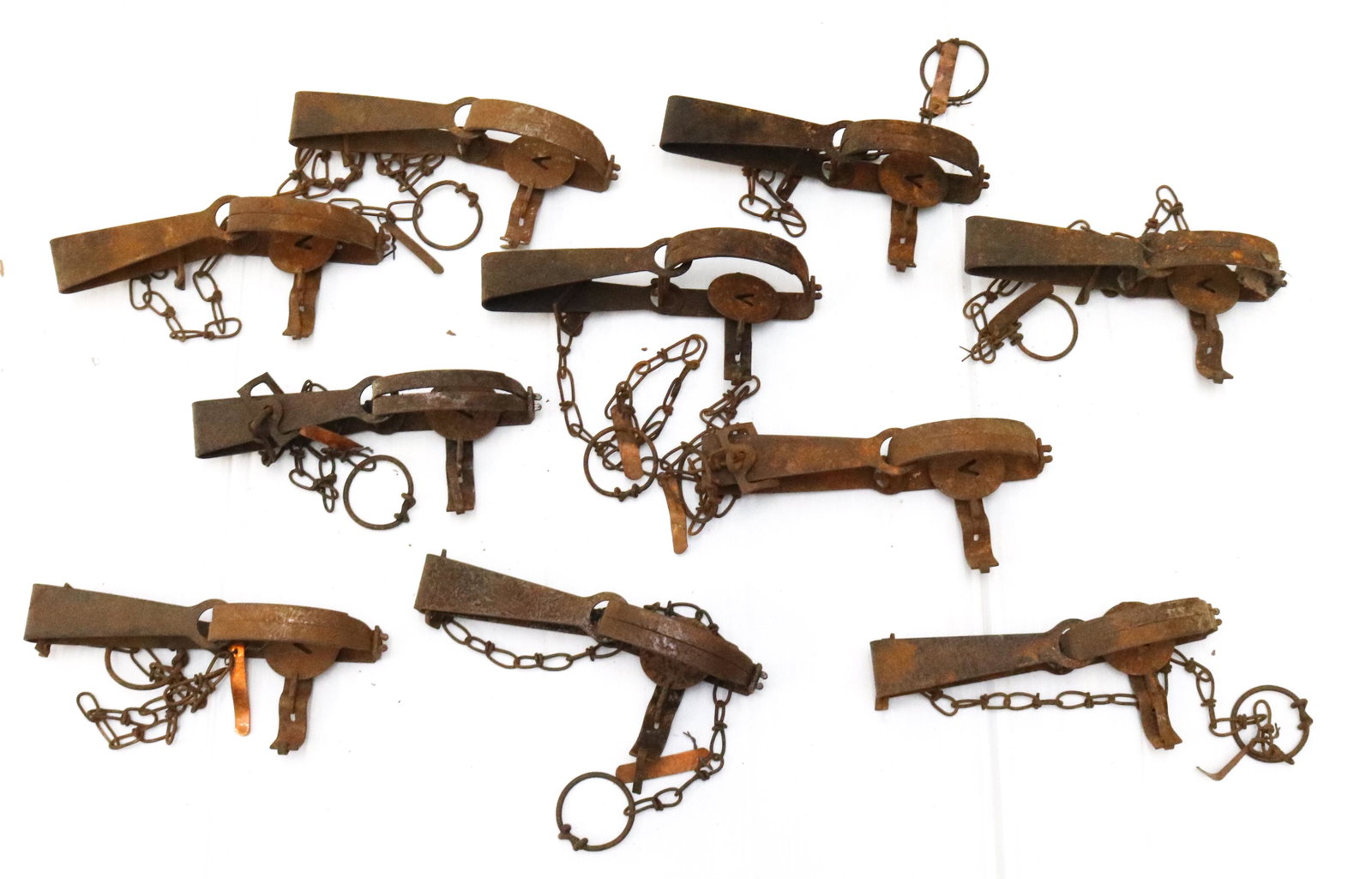 GROUP LOT OF VICTOR LEGHOLD TRAPS: (10) TRAPS WITH "V" MOTIF. SOME HAVE COPPER OWNER'S TAGS SIZE: 8" L