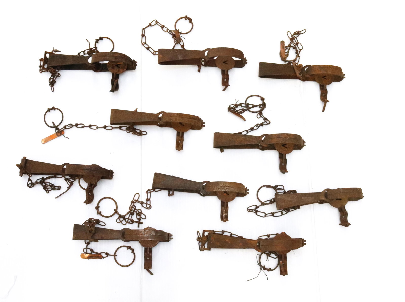 GROUP LOT OF VICTOR LEGHOLD TRAPS: (10) TRAPS WITH "V" MOTIF. SOME HAVE COPPER OWNER'S TAGS SIZE: 8" L
