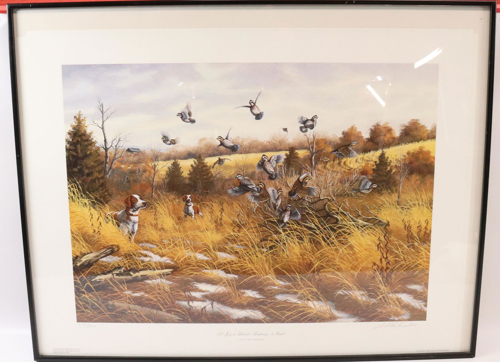 (2) DUCKS UNLIMITED FRAMED PRINTS: A JOY TO BEHOLD BY JOHN S. EBERHARDT 1987, #2179/2500 AND "BACKYARD BIRDS" BY KEITH WARRICK, 1985, #2152/3000. BOTH FRAMED SIZE: 22" X 28 1/4" AND 25 1/2" X 19 1/2"