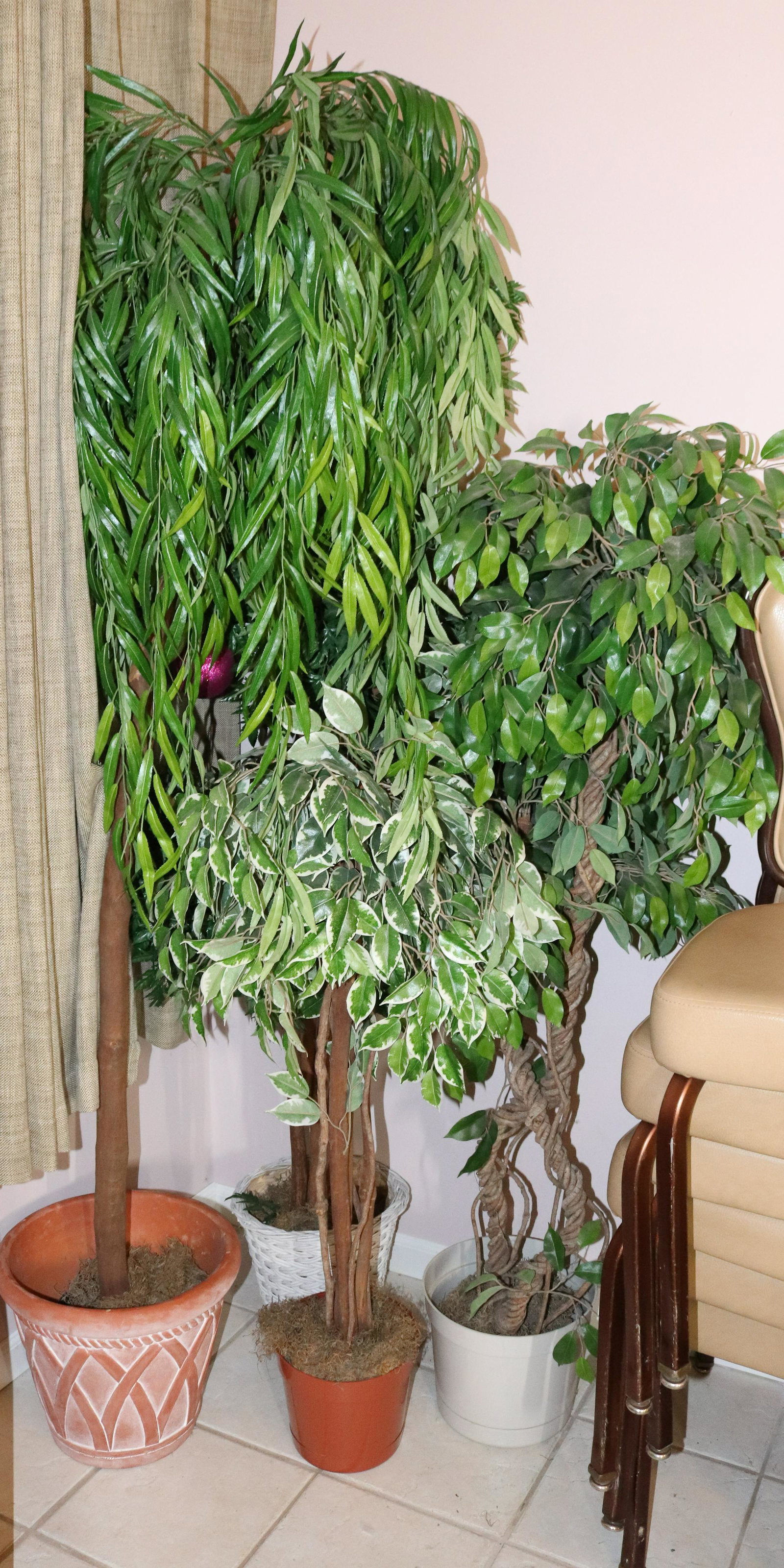 GROUP LOT OF DECORATIVE TREES: FIVE POTTED TREES SIZE: TALLEST 80" TERMS: This is an On-Site Auction. Pick-up will be from Monday April 4th – Thursday April 7th from 9:00am till 4:00pm OR BY APPOINTMENT. All Items must be pai