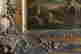 item-129116953=3