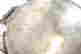 item-129117039=4