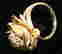 item-129117172=4