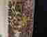 item-129117281=4