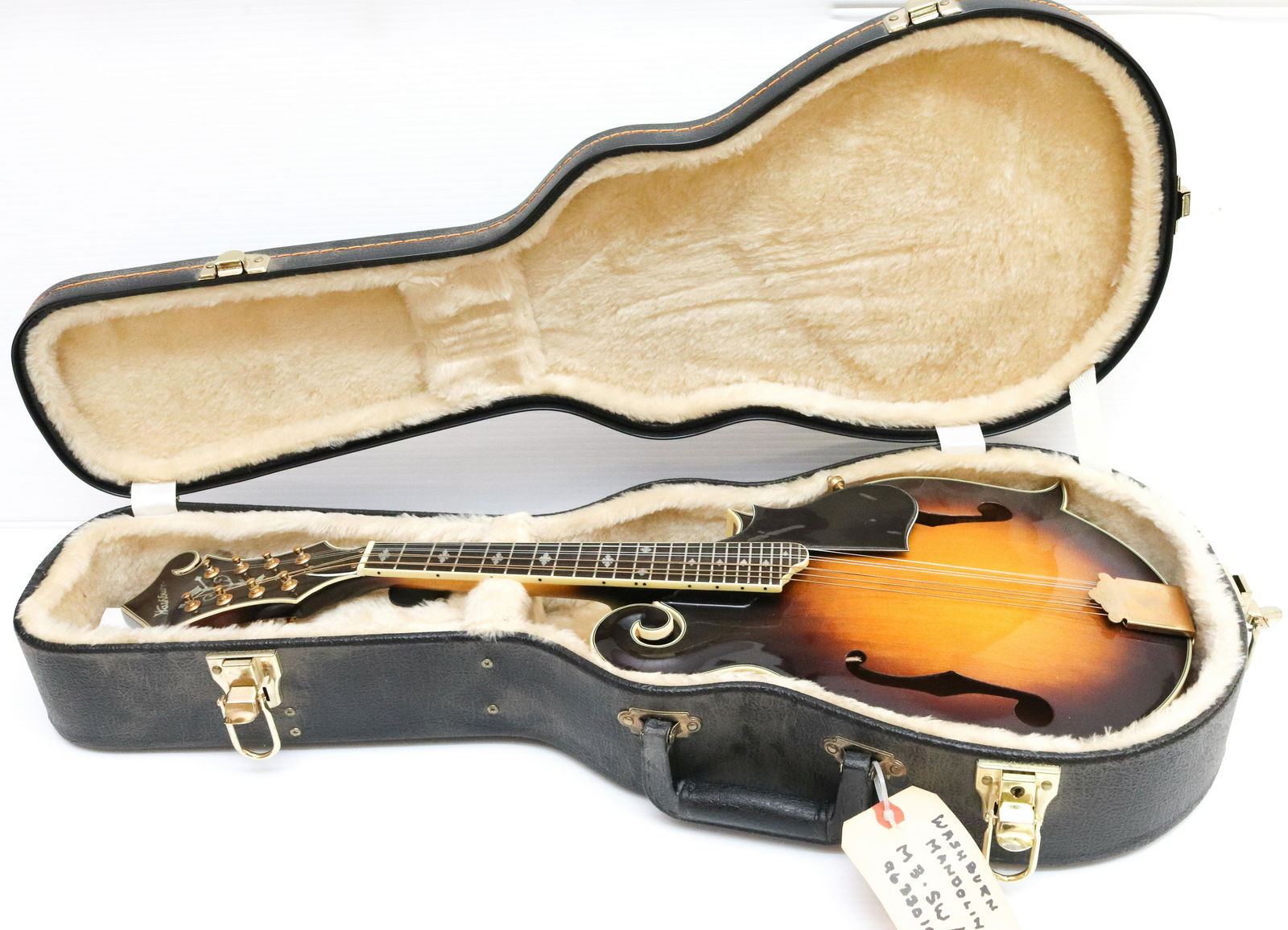 WASHBURN MANDOLIN (1 of 4)