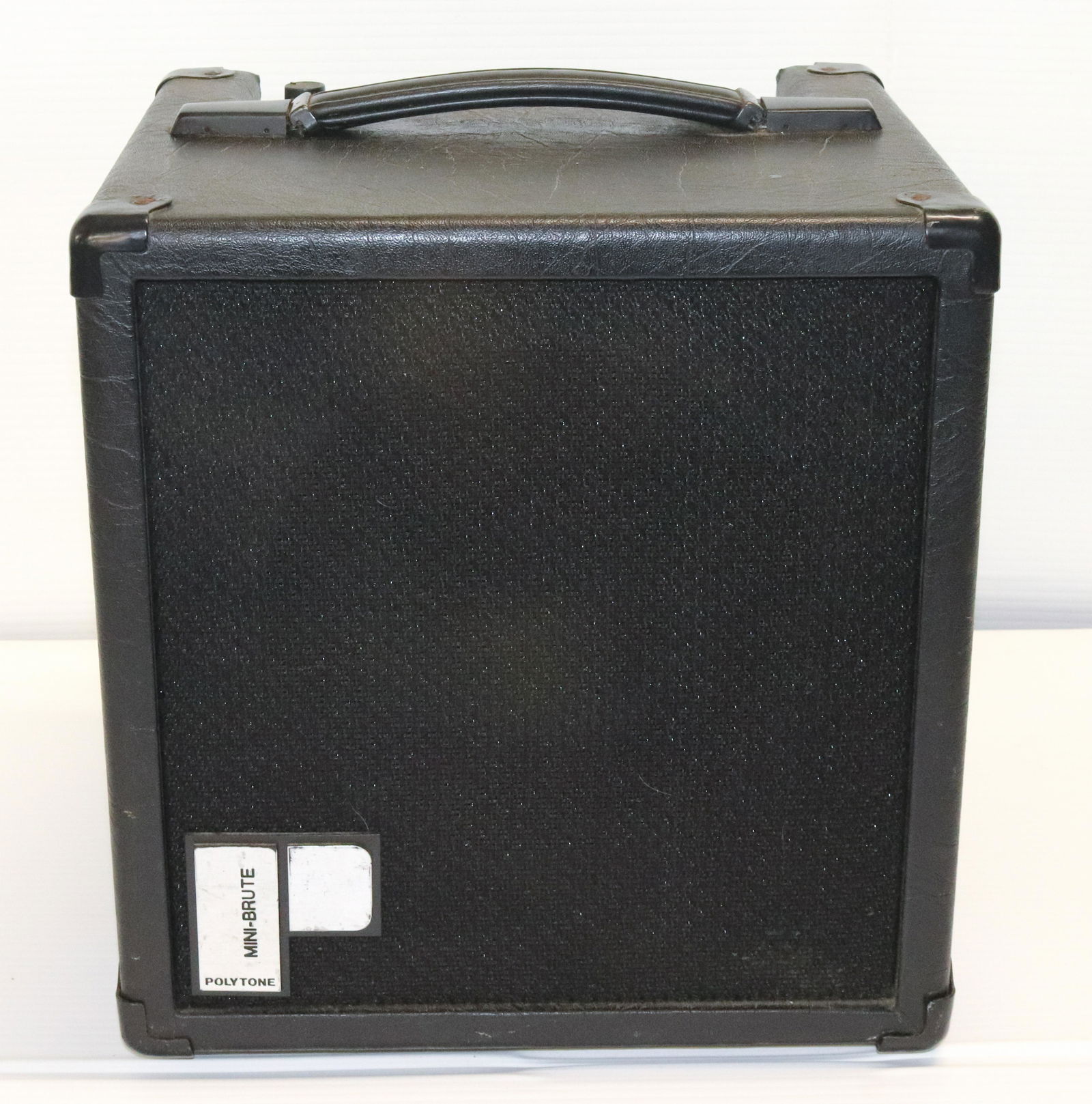 MINI-BRUTE AMP (1 of 3)