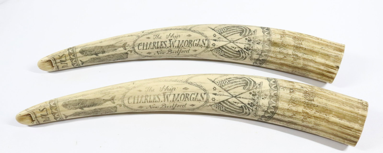 REPLICA SCRIMSHAW WALRUS TUSKS: ALL OVER DECORATED SURFACES. INITIALED, DATED AND MRKD. CHARLES W. MORGAN, NEW BEDFORD Size: 21 1/2" L Terms: PLEASE READ THIS CAREFULLY AND FULLY BEFORE BIDDING - THIS IS AN ON-SITE AND LIVE IN PERSO
