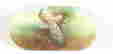 item-132667296=2