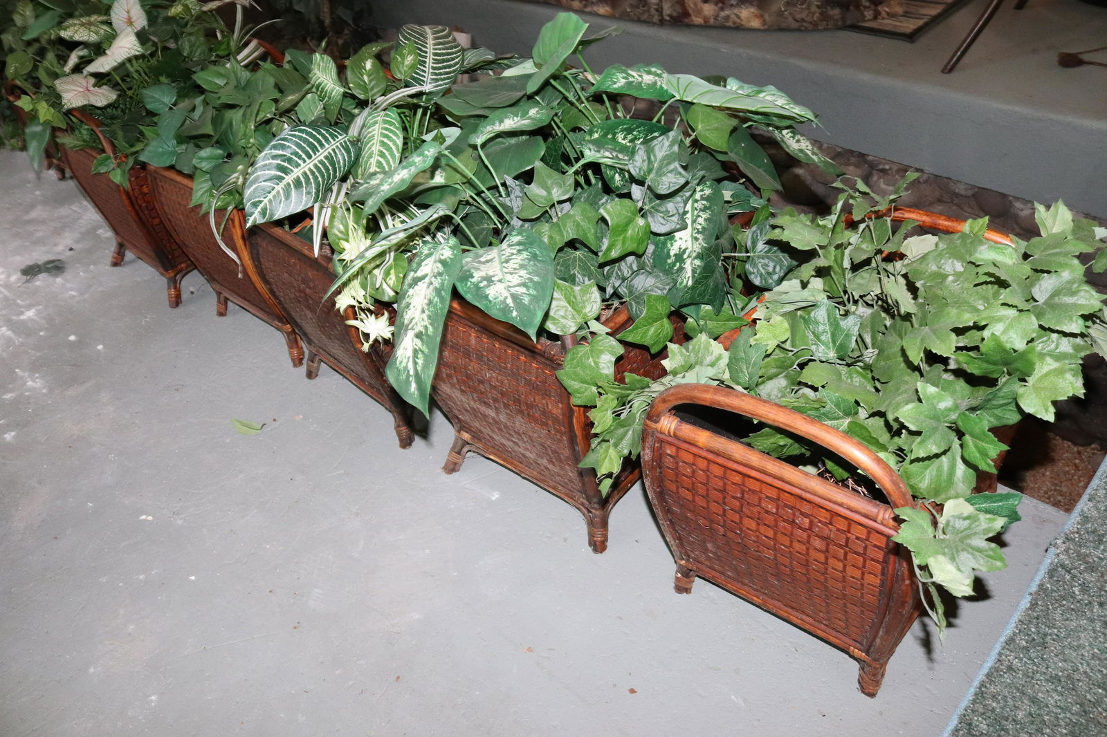 (8) DECORATIVE PLANTS IN BASKETS (1 of 2)
