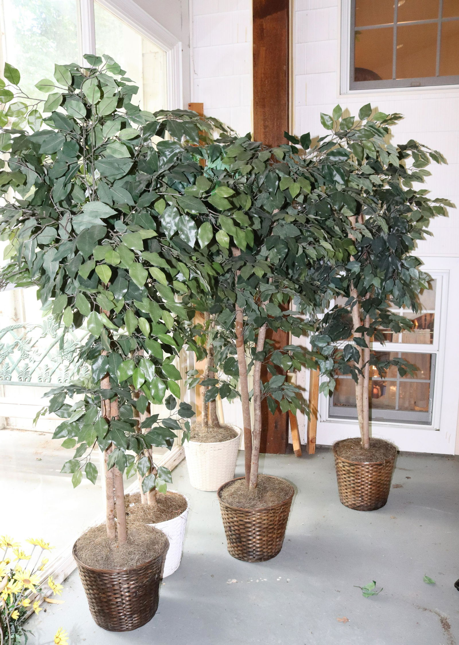 (5) DECORATIVE TREES (1 of 1)