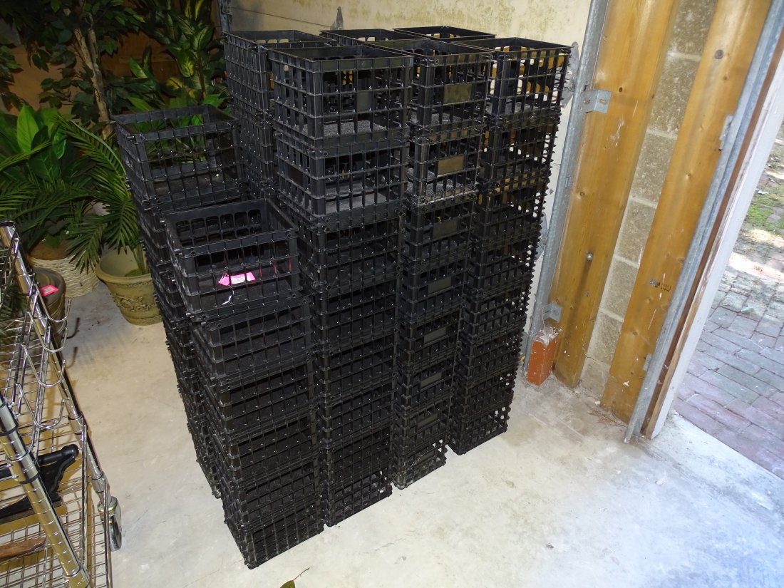 PLASTIC BINS (1 of 2)