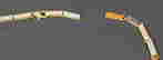 item-136411491=2