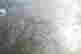 item-136411994=10