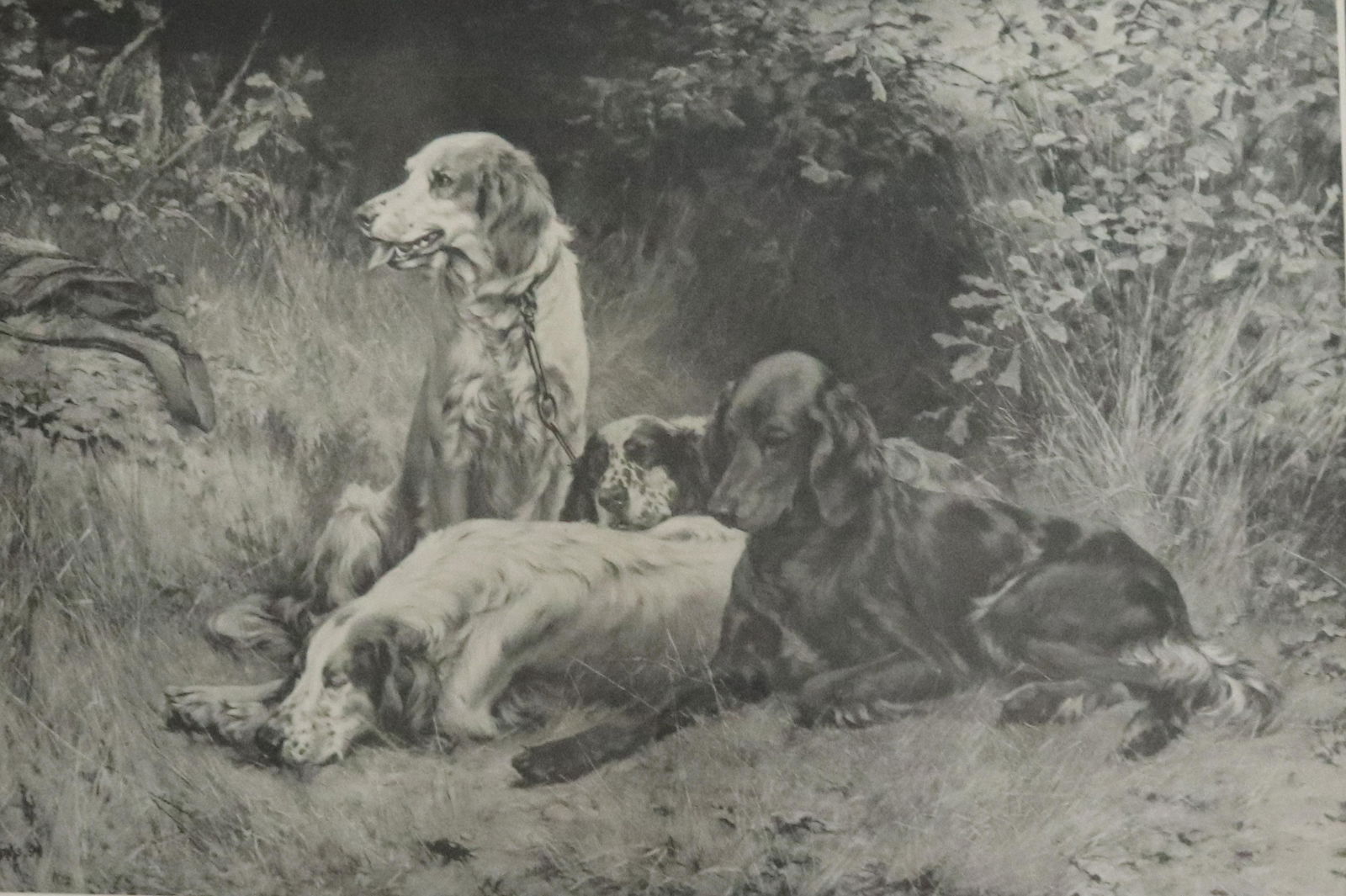 THOMAS BLINKS FRAMED PRINT (1 of 3)