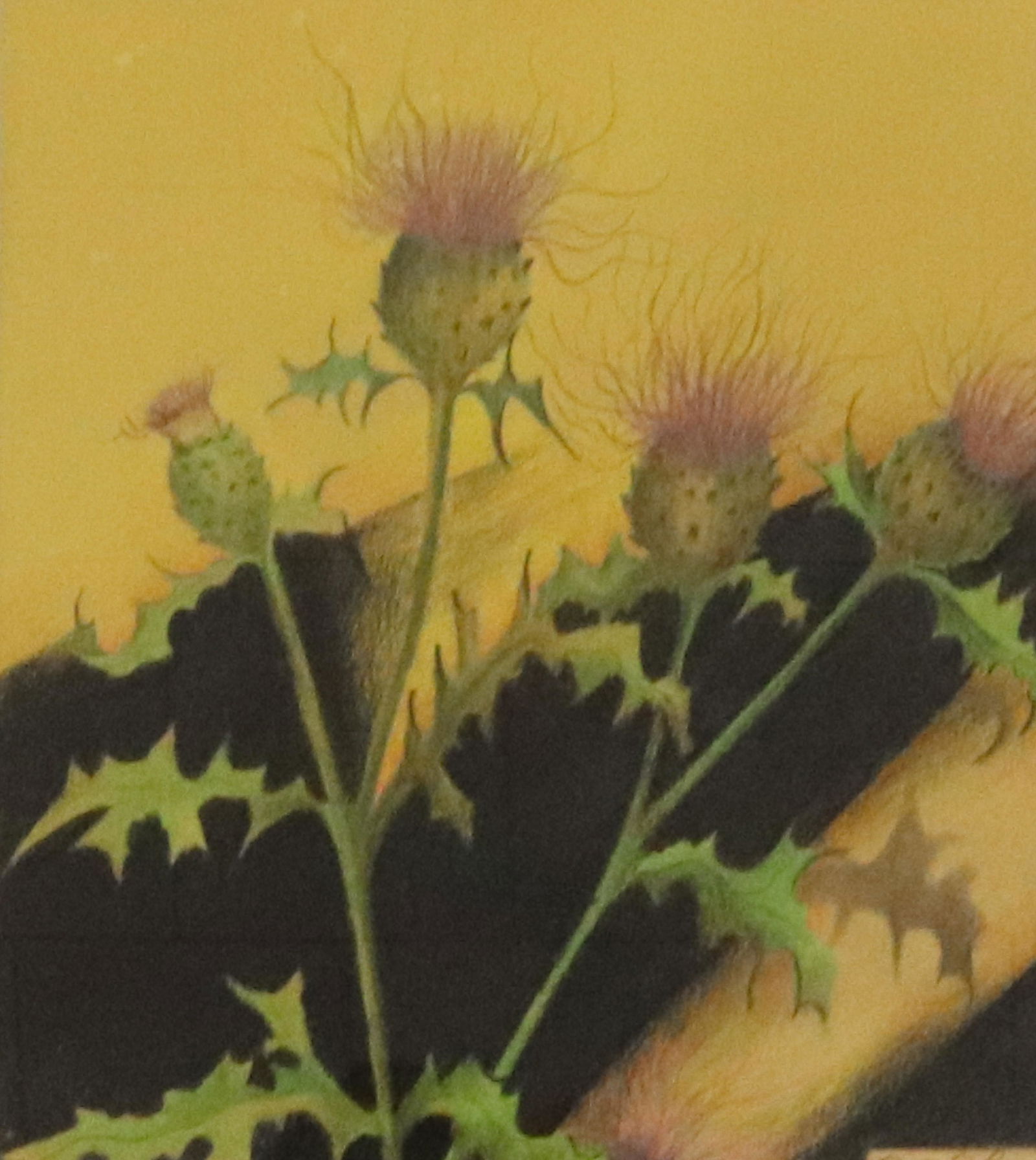 FRAMED MIXED MEDIA STILL LIFE (1 of 4)