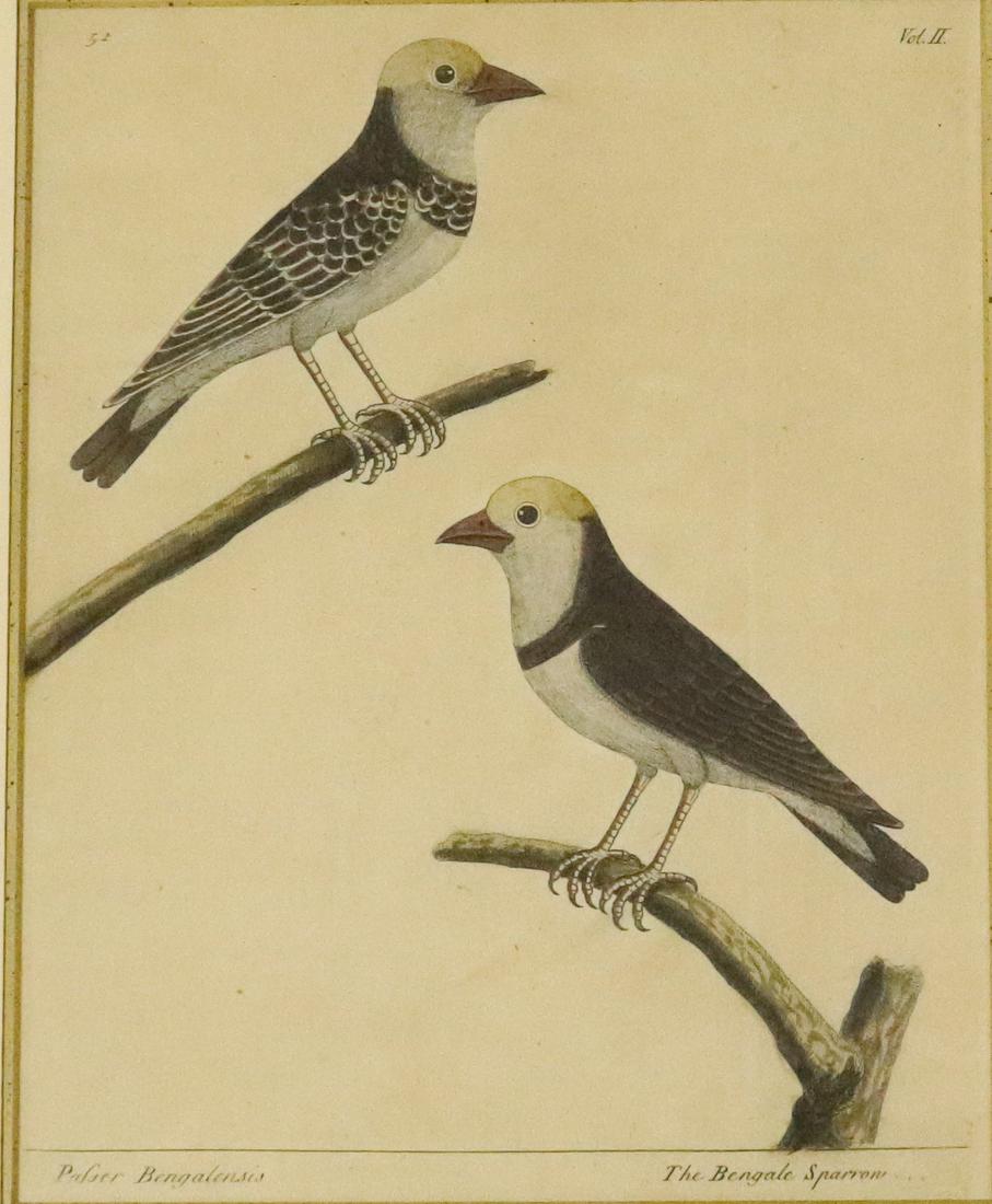 EARLY BOOK PLATE (1 of 5)