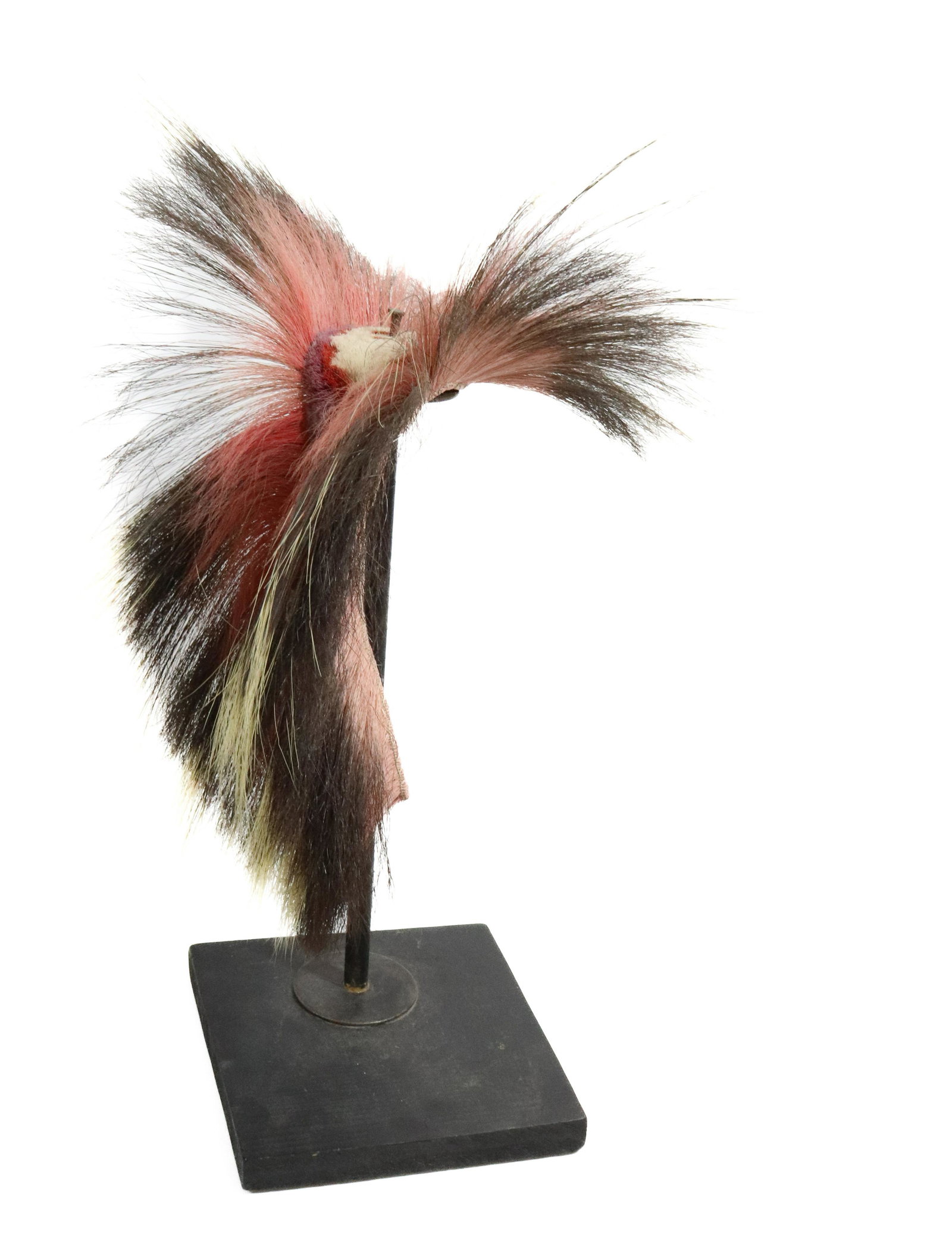 NATIVE AMERICAN ROACH: ON MODERN DISPLAY STAND. 16" TOTAL LENGTH. STAND 14" H. UPDATED 2023 TERMS FOR PURCHASING AND SHIPPING OF AUCTION ITEMS. PLEASE READ CAREFULLY BEFORE BIDDING. ALL PAYMENTS FOR PURCHASES WILL BE MADE T