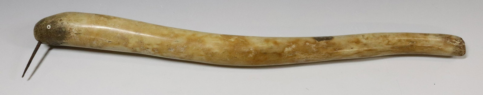 INUIT FOSSILIZED WALRUS OOSIK CLUB: 17" LONG UPDATED 2023 TERMS FOR PURCHASING AND SHIPPING OF AUCTION ITEMS. PLEASE READ CAREFULLY BEFORE BIDDING. ALL PAYMENTS FOR PURCHASES WILL BE MADE THROUGH LIVEAUCTIONEERS.COM PAYMENT PROCESSING C