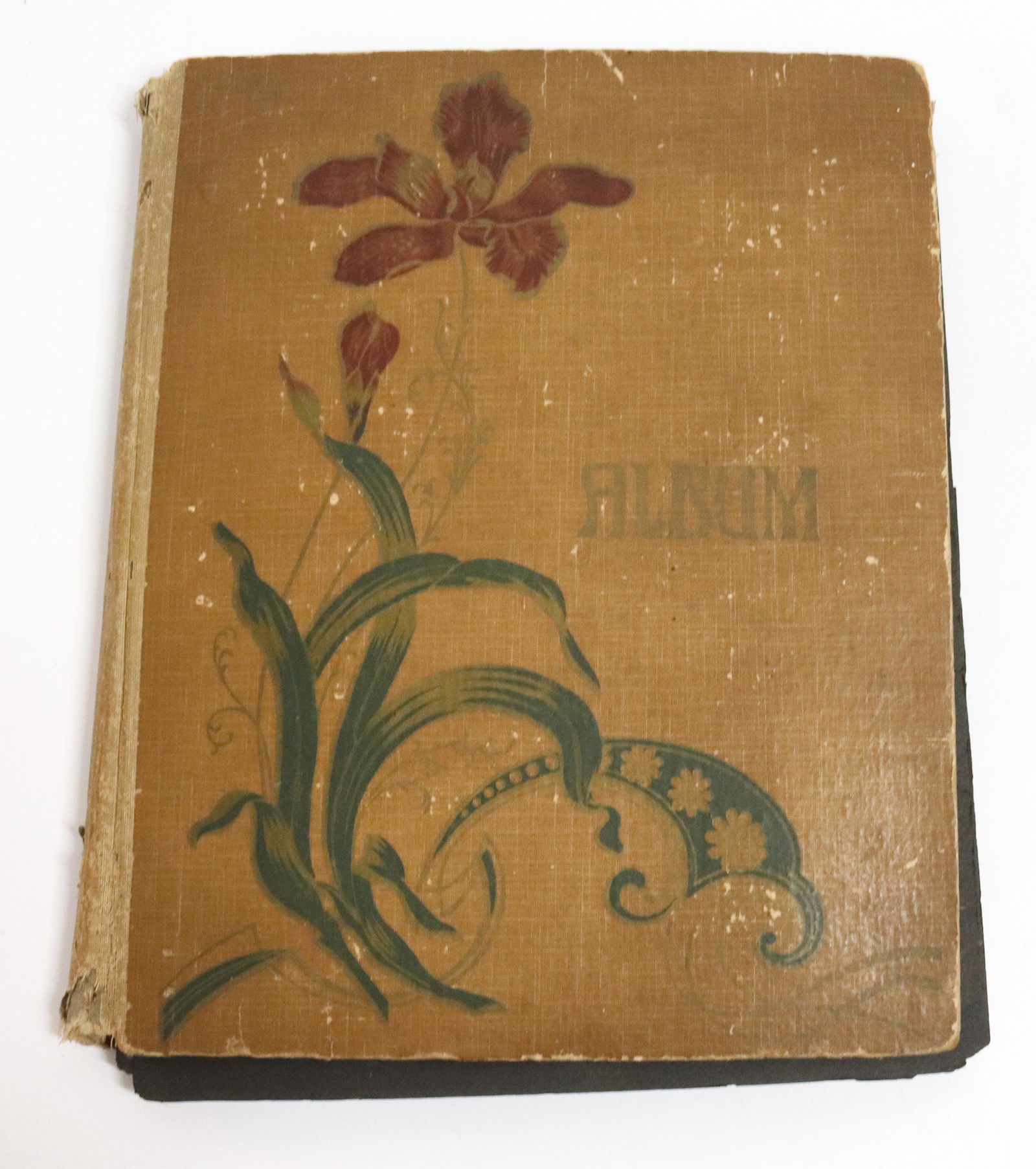 VINTAGE POSTCARD ALBUM (1 of 8)