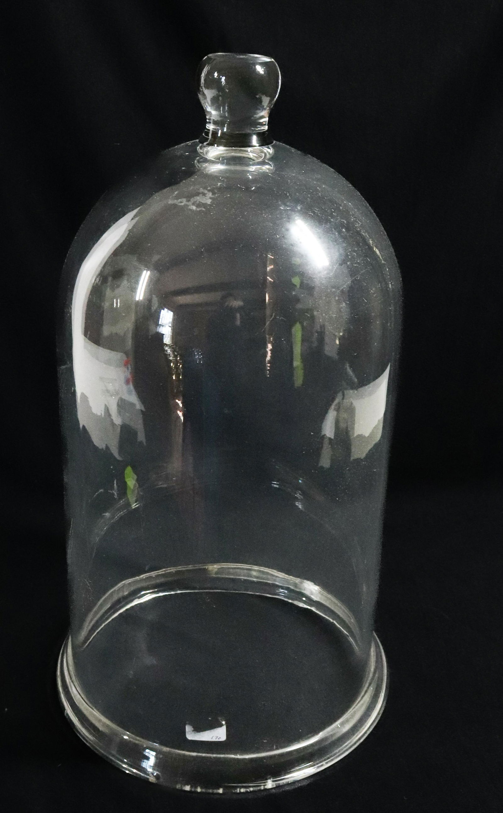BLOWN GLASS BELL JAR (1 of 5)