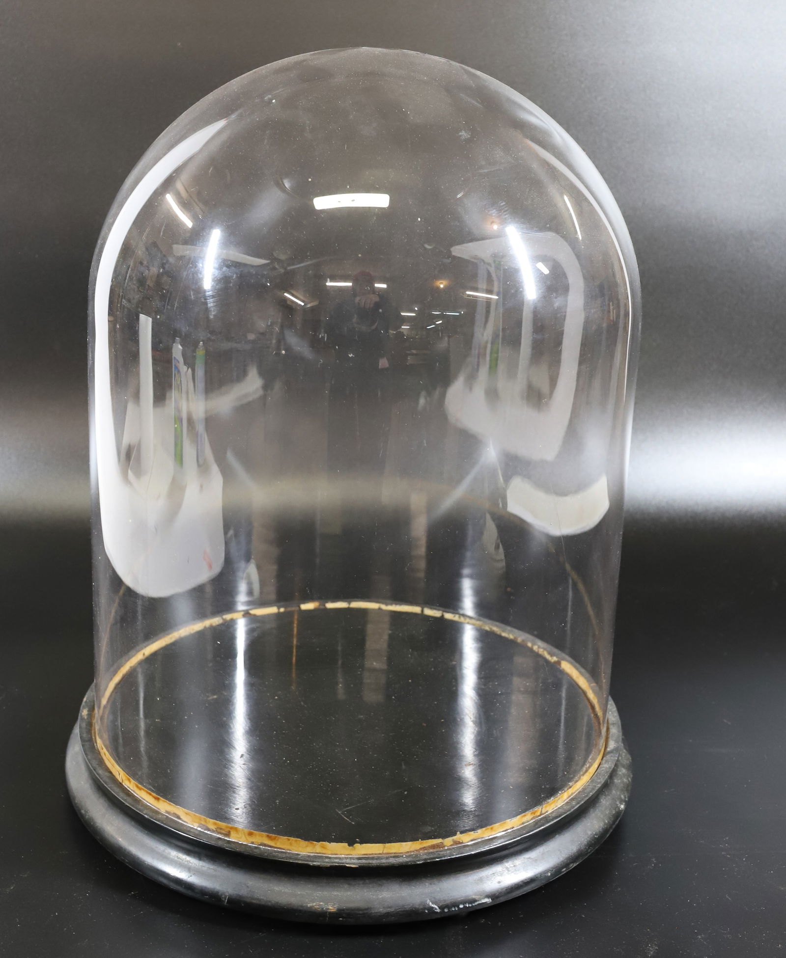 VICTORIAN GLASS DOME (1 of 2)