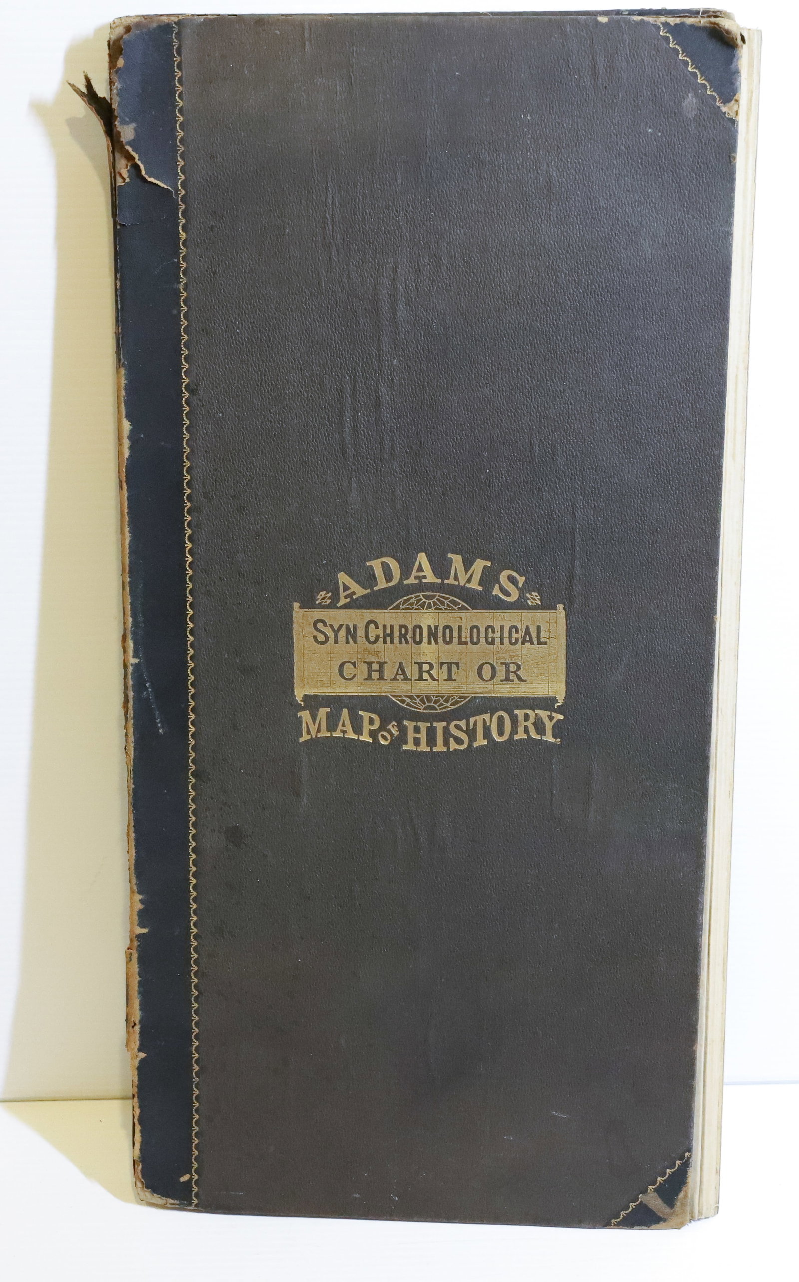 ADAMS SYN CHRONOLOGICAL CHART : PUBLISHED BY COLBY & CO. NY 19TH CENTURY FOLDS OUT TO TWENTY FEET 28" X 20' PLEASE READ CAREFULLY - Terms for Purchasing and Shipping of Auction Items. Please read carefully before bidding. All paymen