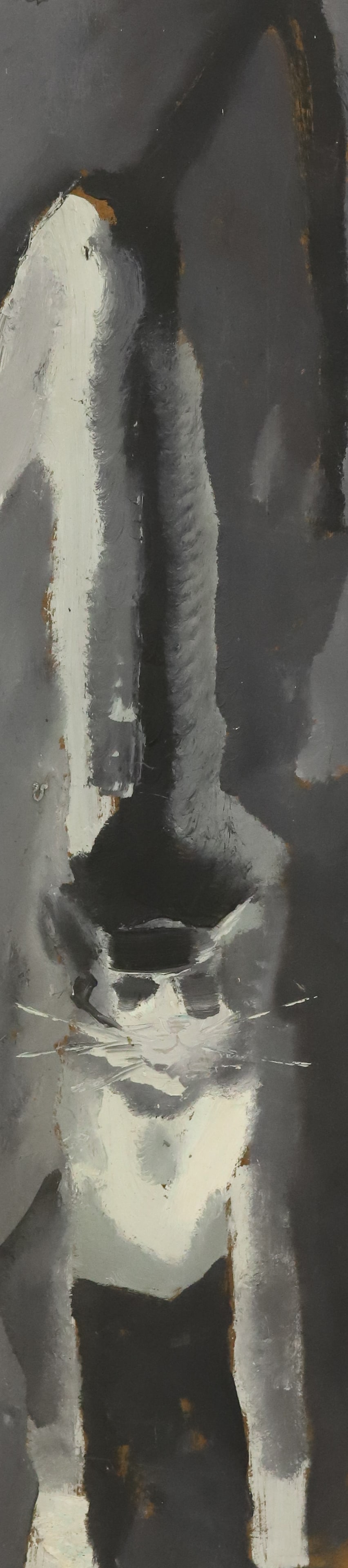 STERLING STRAUSER,  TUXEDO CAT, O/B (1 of 5)