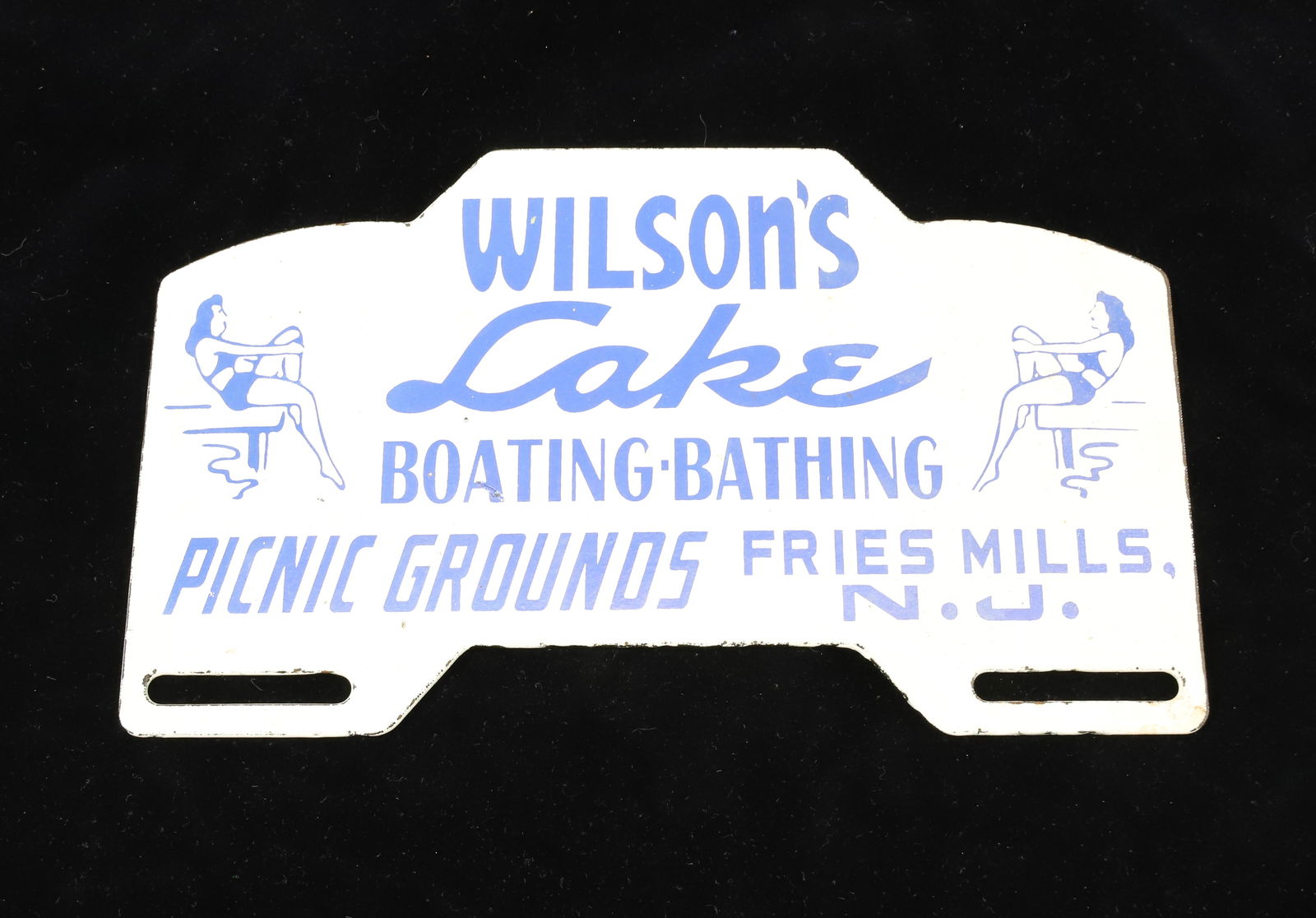 WILSON'S LAKE LICENSE PLATE TOPPER (1 of 2)